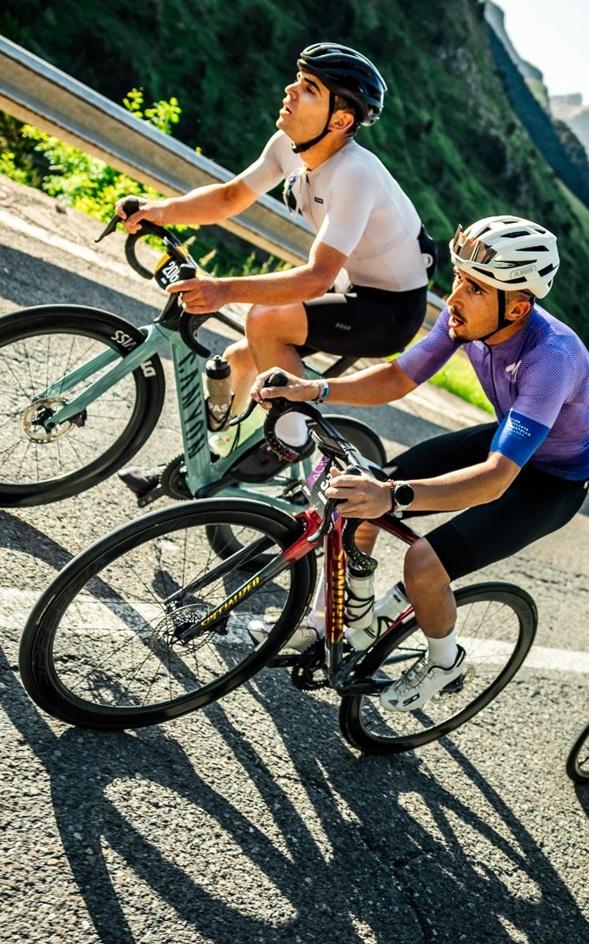 Quebrantahuesos